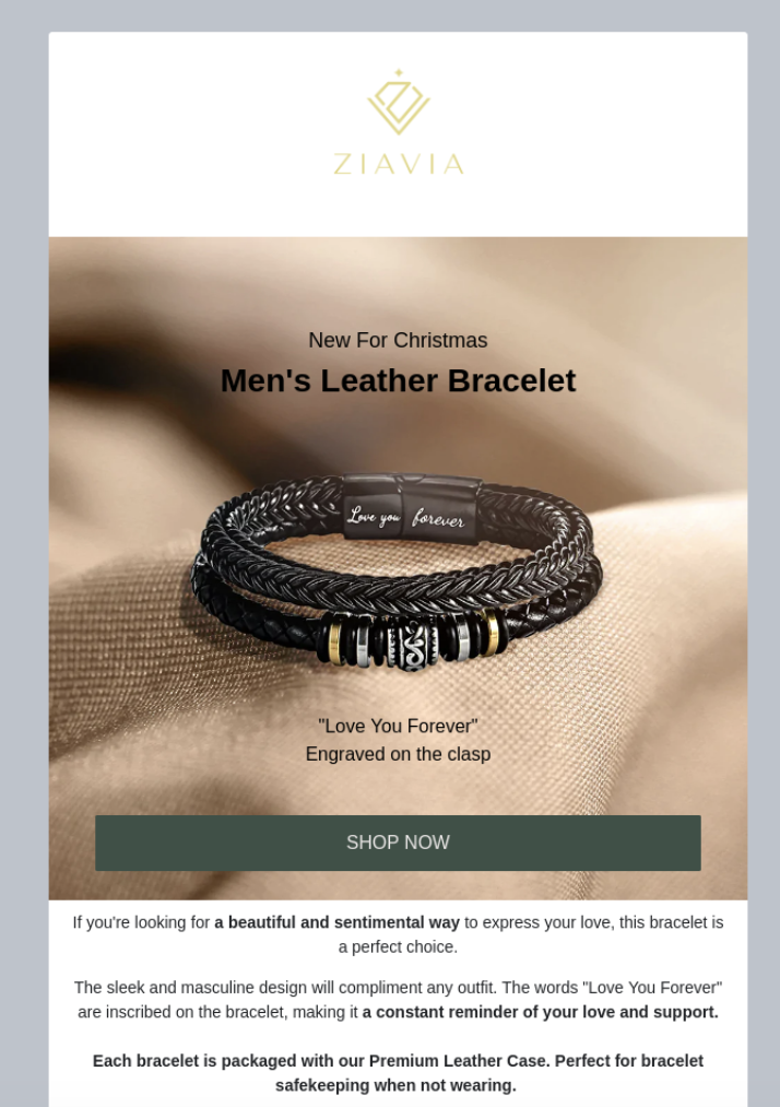 Klaviyo Email Campaign